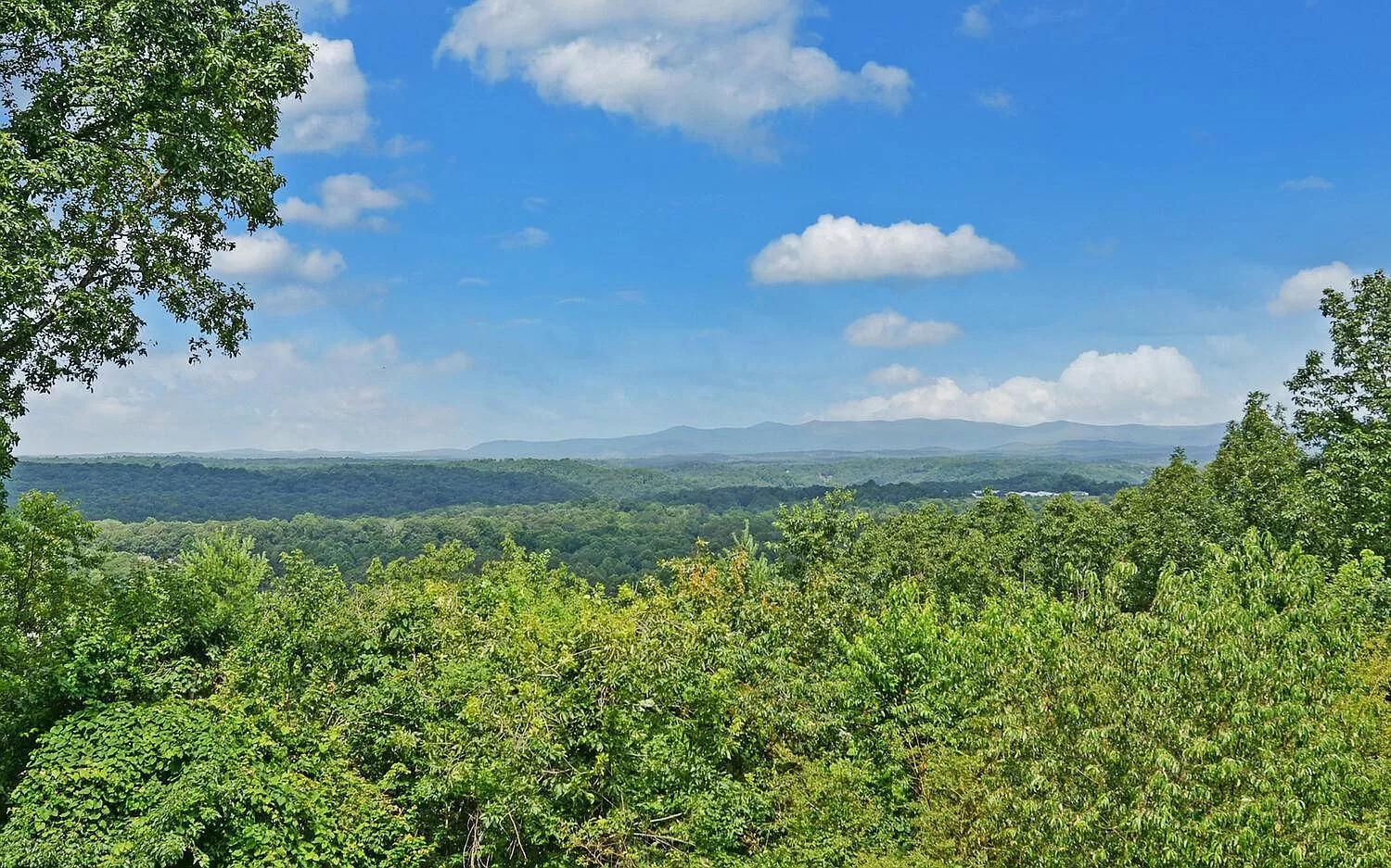 Birds Eye Cabin - Sunset & Starry Retreat Pet Friendly W Private Hottub, Fire Pit And Game Room Ellijay Zewnętrze zdjęcie
